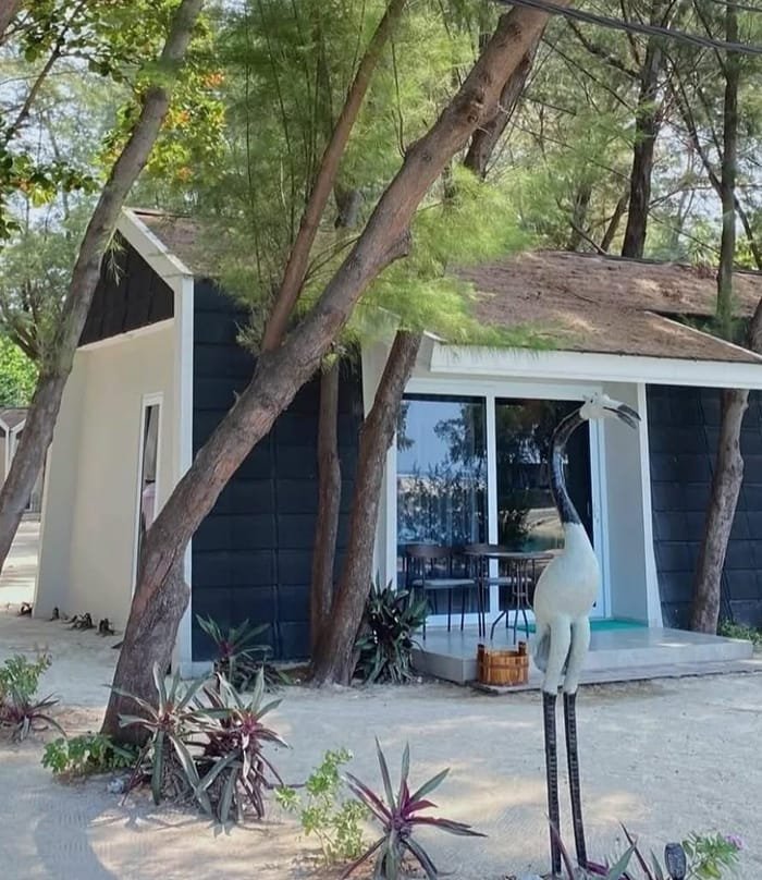 WhatsApp Image 2026-03-05 at 21.33.11 (3)