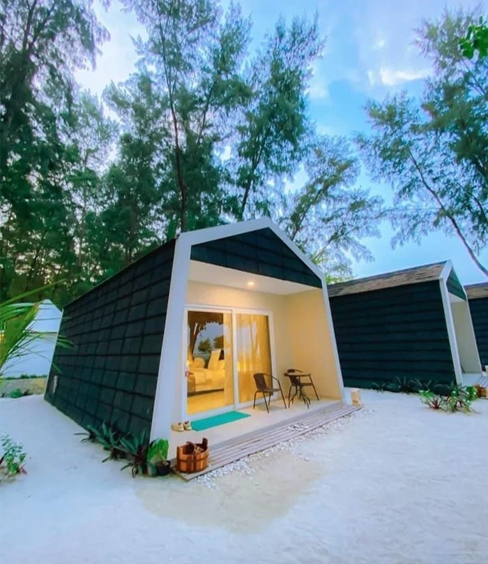 WhatsApp Image 2026-03-05 at 21.33.12