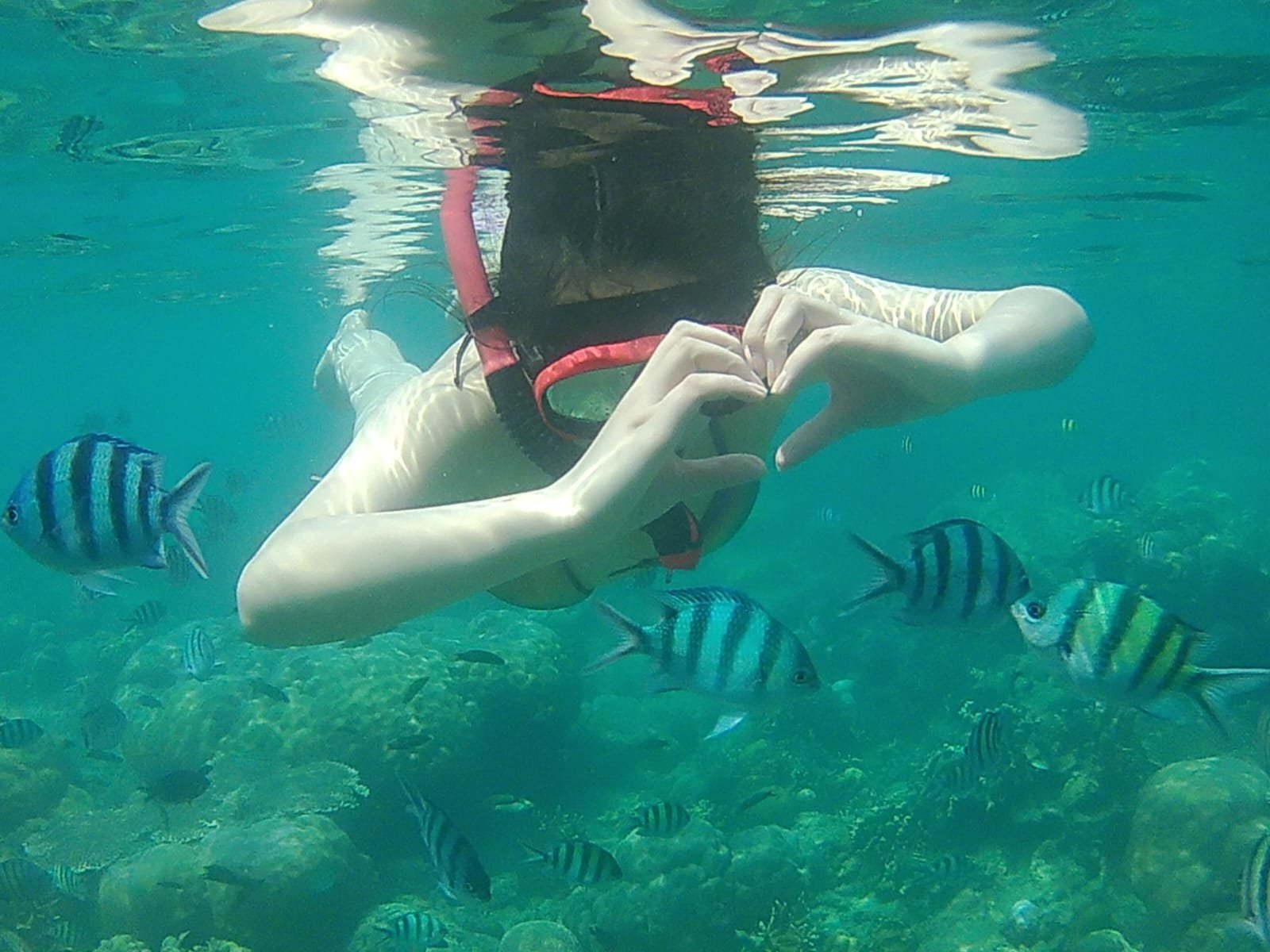 WhatsApp Image 2026-03-14 at 10.25.51