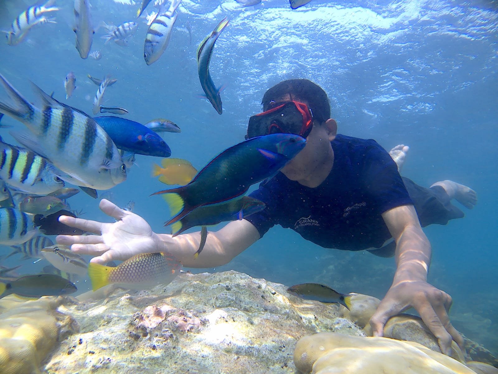 WhatsApp Image 2026-03-17 at 22.24.31 (2)