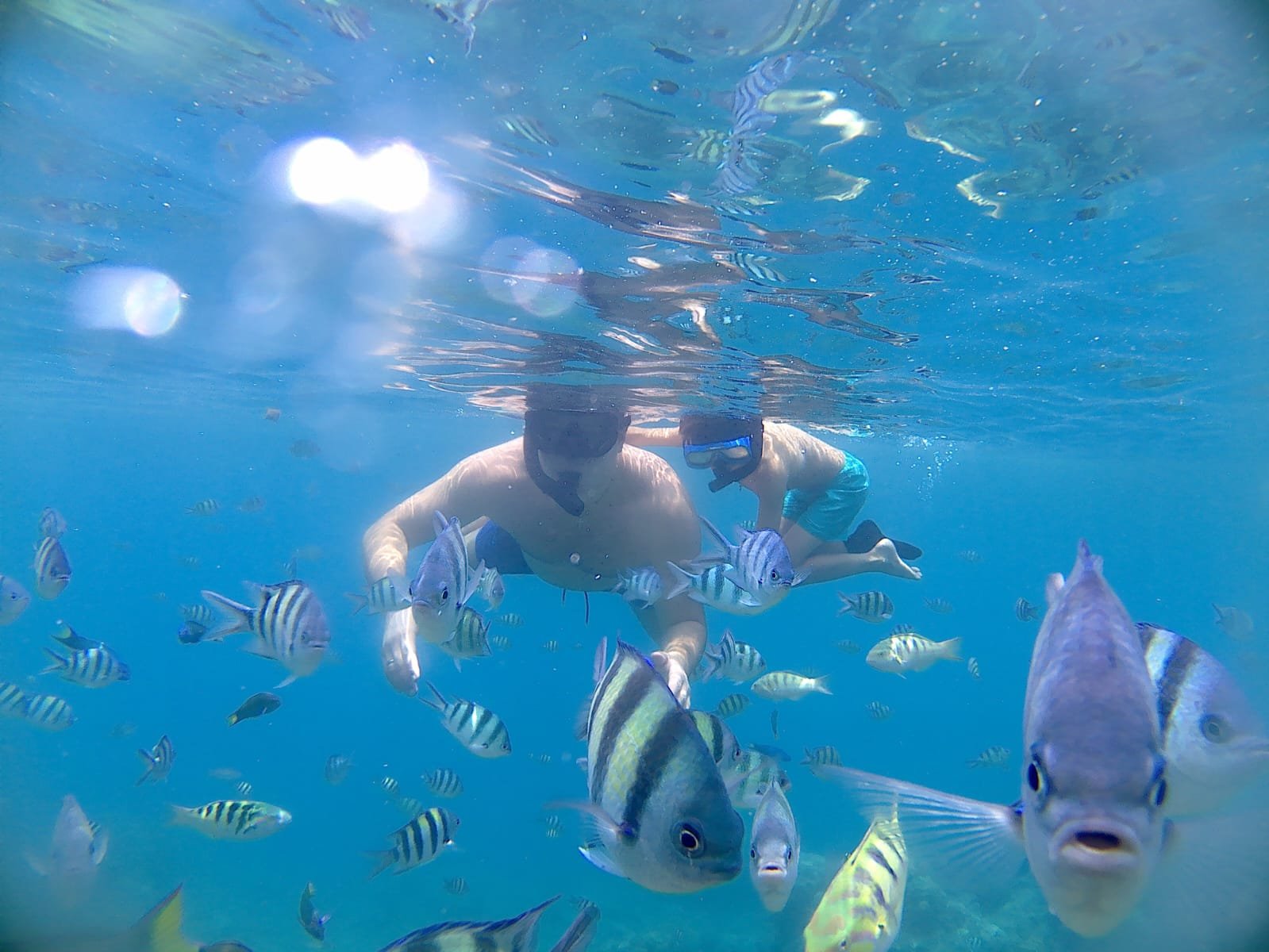 WhatsApp Image 2026-03-17 at 22.24.31